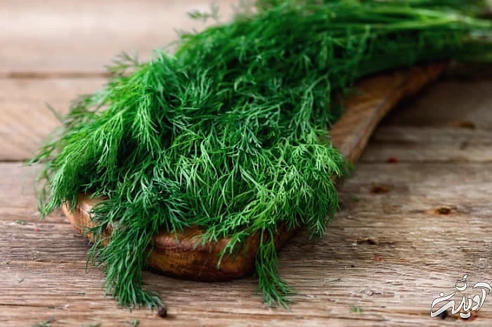 آموزش نگهداری شوید شوید